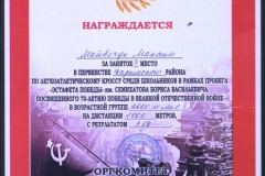 достижения-04