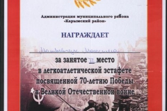 достижения-06