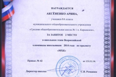 достижения-12