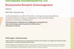 Свидетельство-проекта-infourok.ru-№ОГ36595112