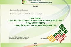 сертификат-ЗОФ-2018