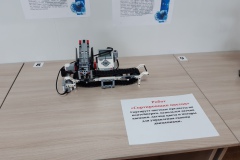 Робот "Сортировщик цветов"