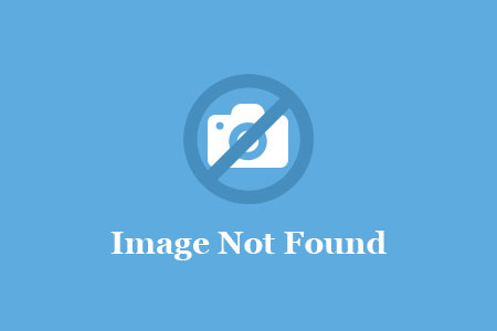 Обратная связь