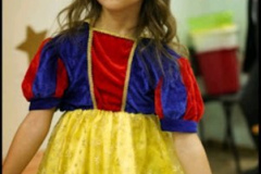 IMG-59fa96794f50099ff6e081e56825b347-V